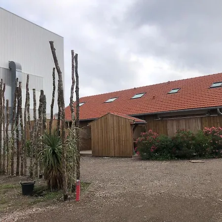 Les Du Canal Lägenhet Gujan-Mestras